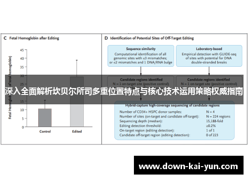 深入全面解析坎贝尔所司多重位置特点与核心技术运用策略权威指南