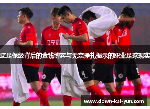 辽足保级背后的金钱博弈与无奈挣扎揭示的职业足球现实