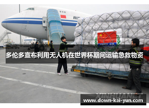 多伦多宣布利用无人机在世界杯期间运输急救物资